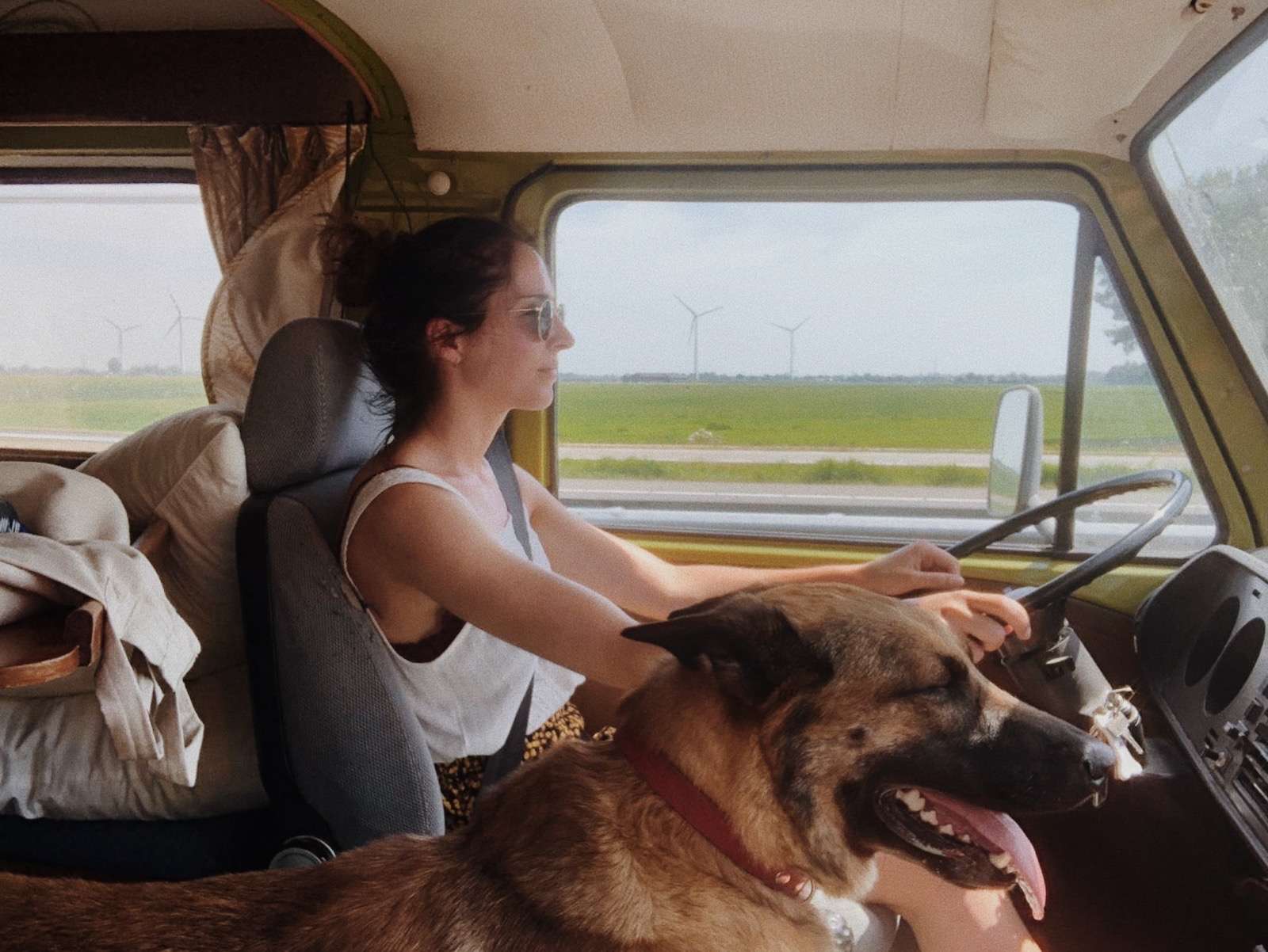Woman driving camper van with dog