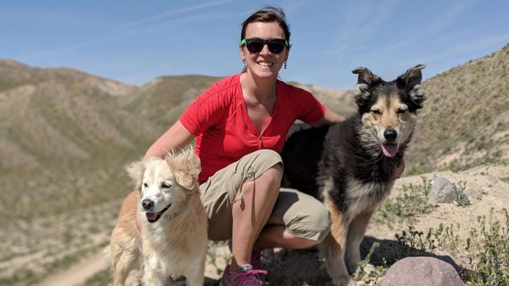 How to Find the Best Dog Friendly Hikes Near Me