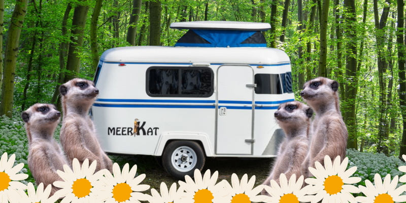 MeerKat Camper Trailer