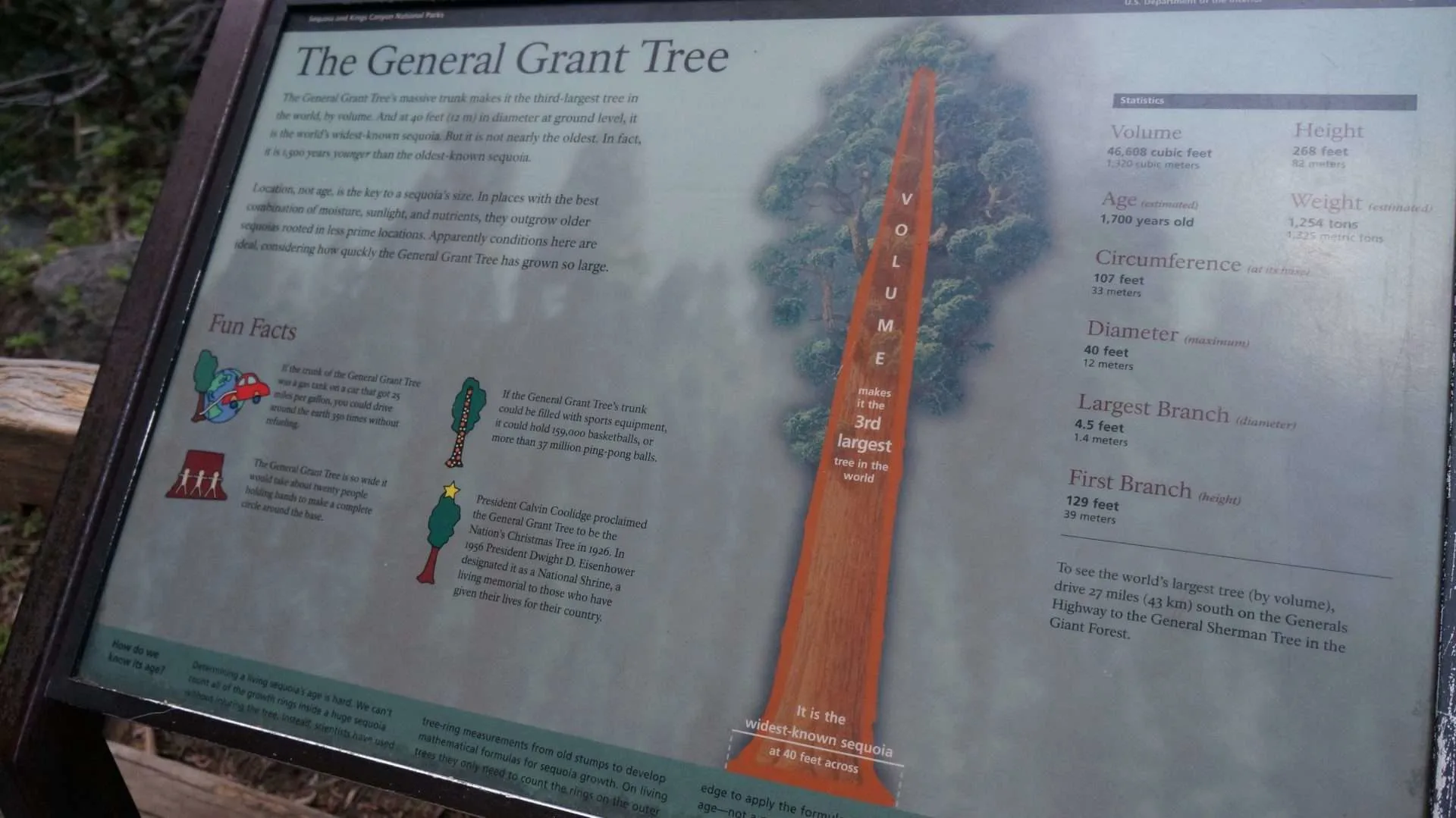 General Grant Tree Sign