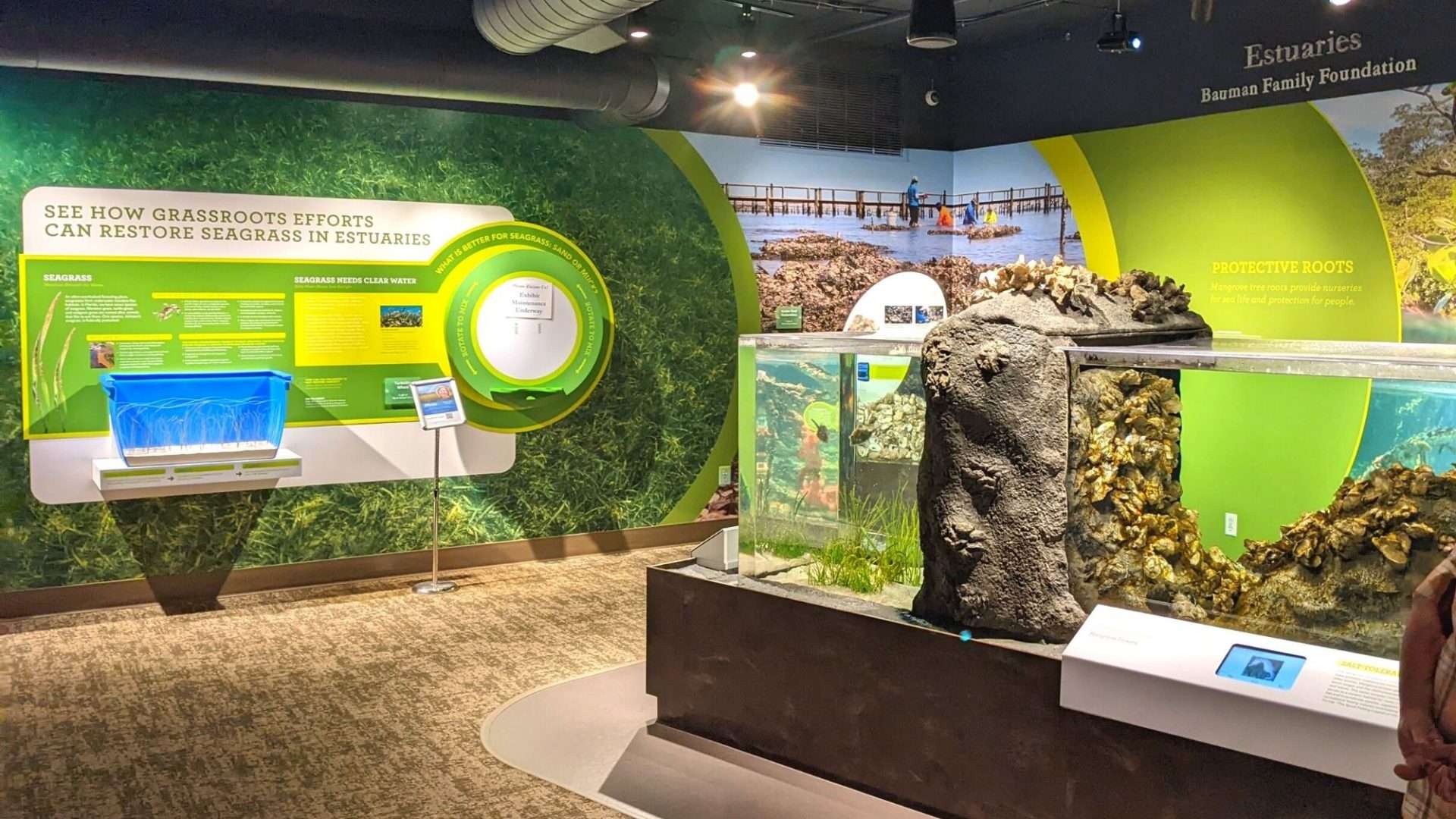 Estuaries Display at Florida Ocean EcoCenter