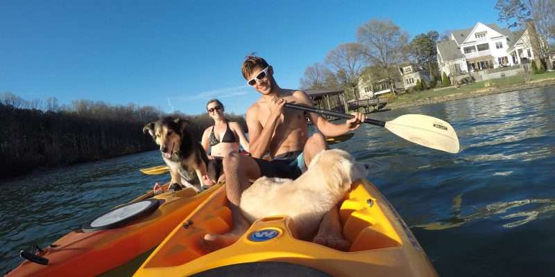 Mortons kayaking with dogs