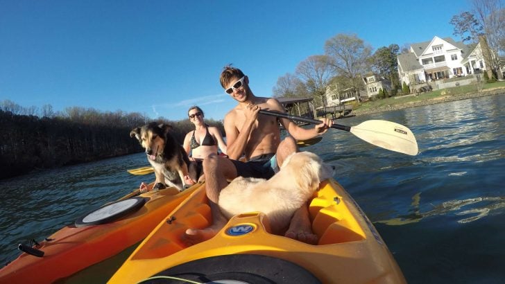 8 Best Kayaks for Dogs