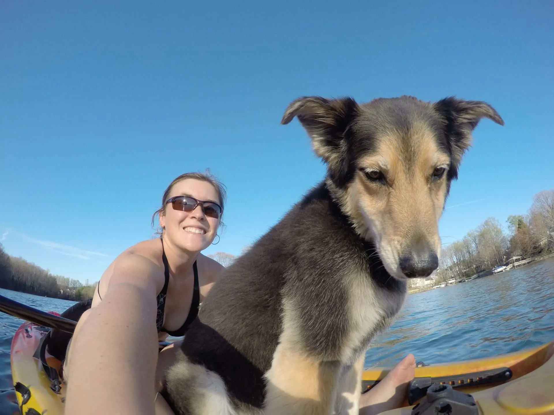 Caitlin from Mortons on the Move kayaking with her dog