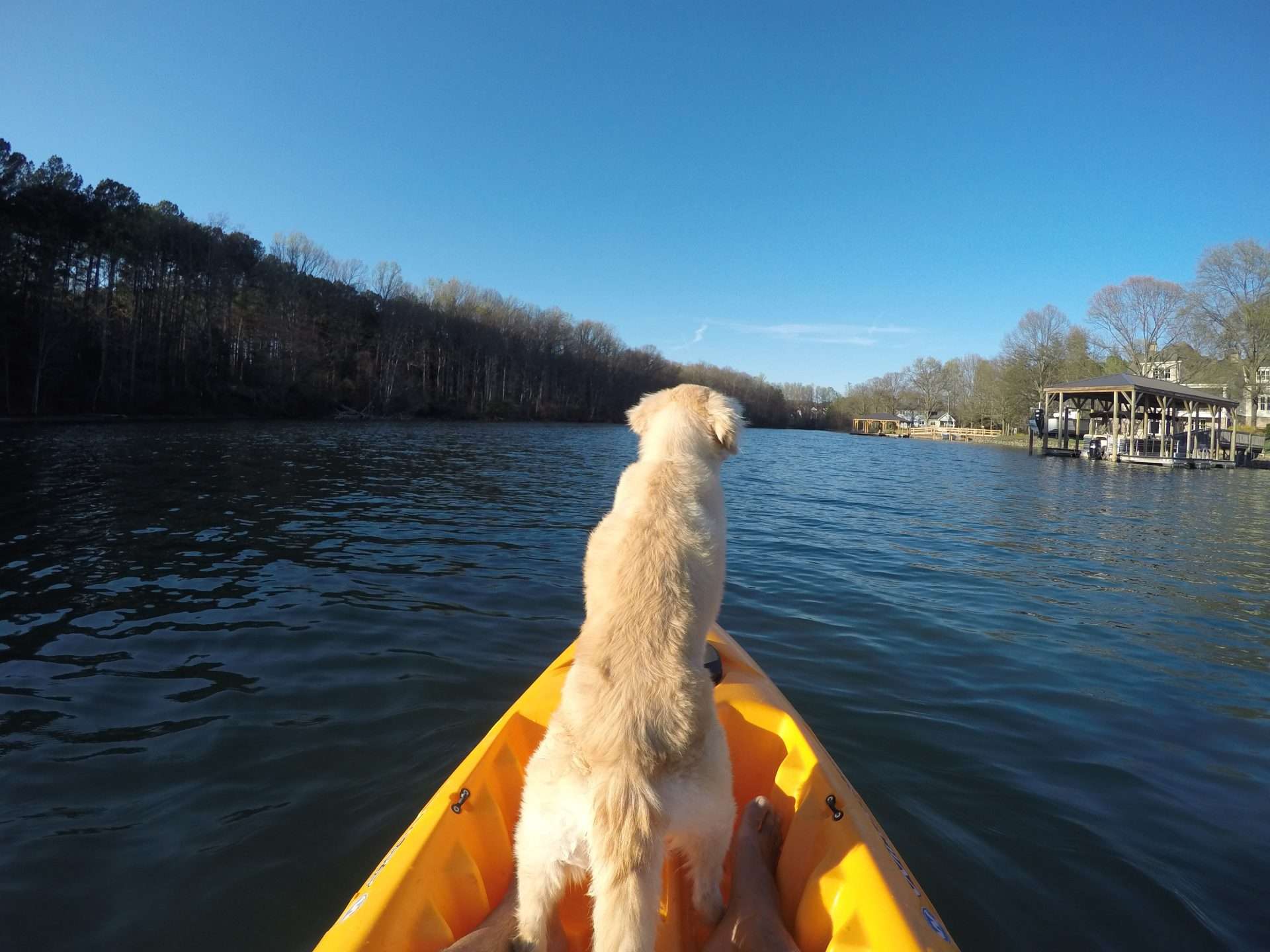 Bella in a kayak