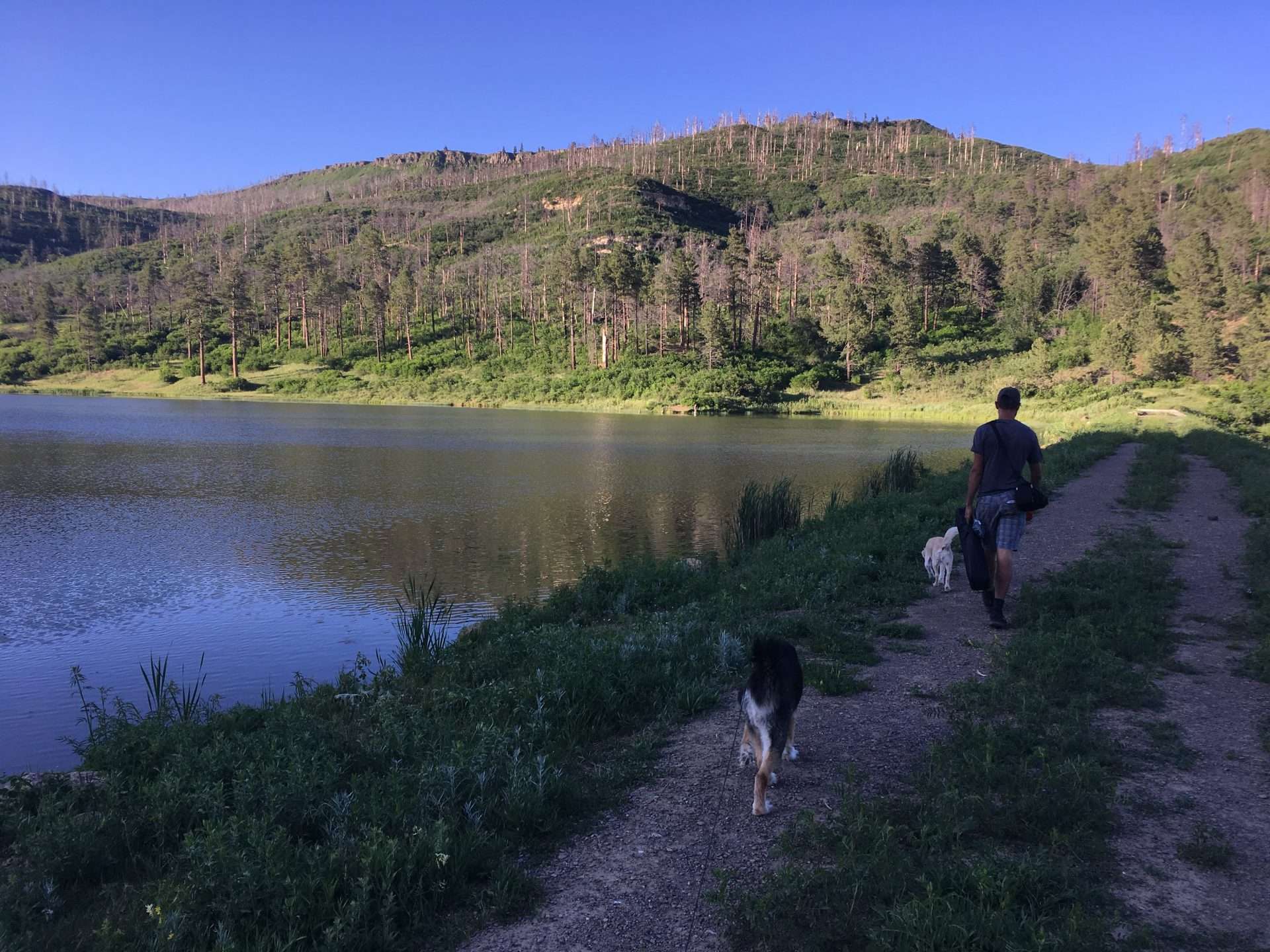 Tom Morton hiking with two dogs along lake