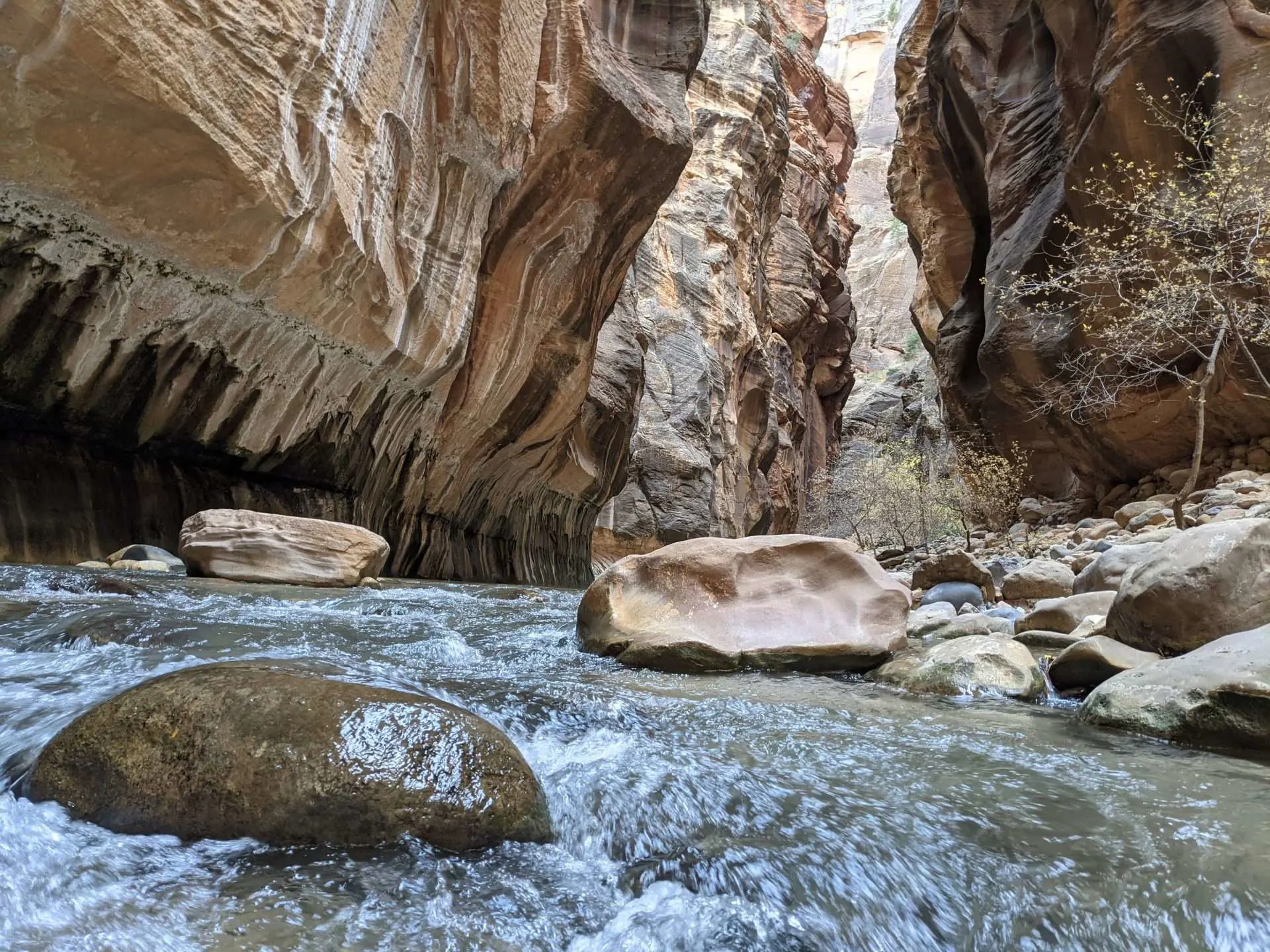 Narrows in Zion National Park