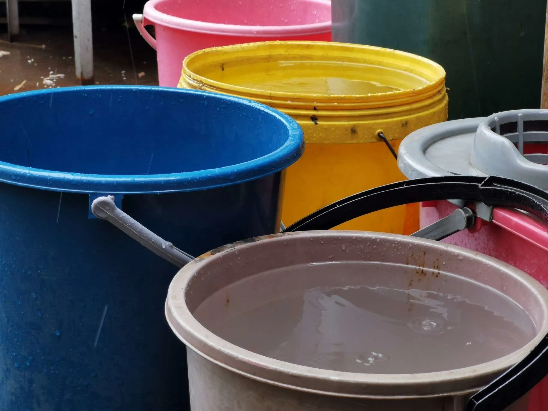 Buckets sitting out in rain collecting rainwater