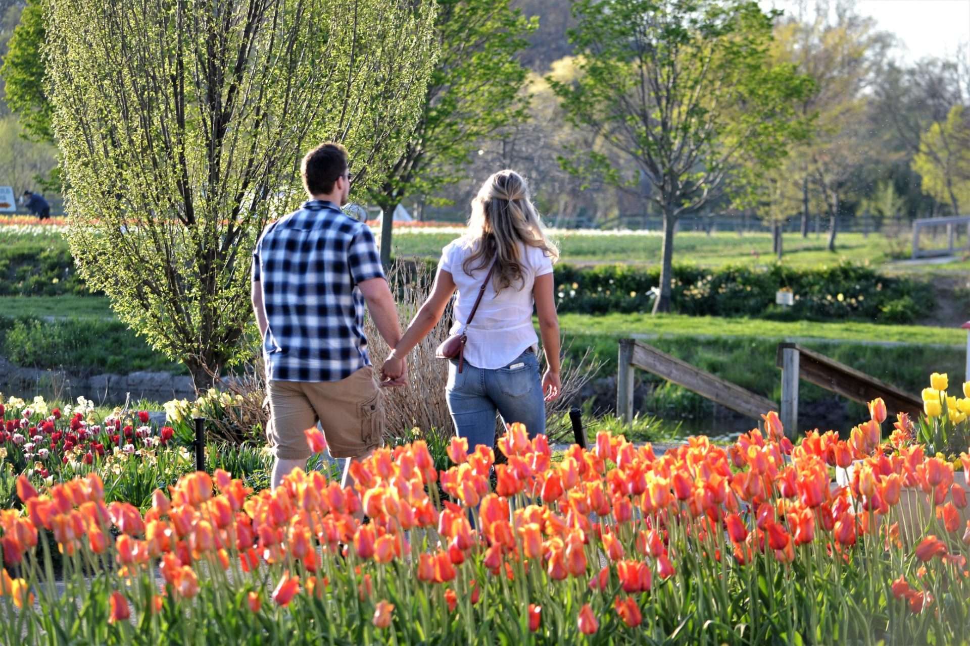 Couple walking through Holland State Park with tulips planted