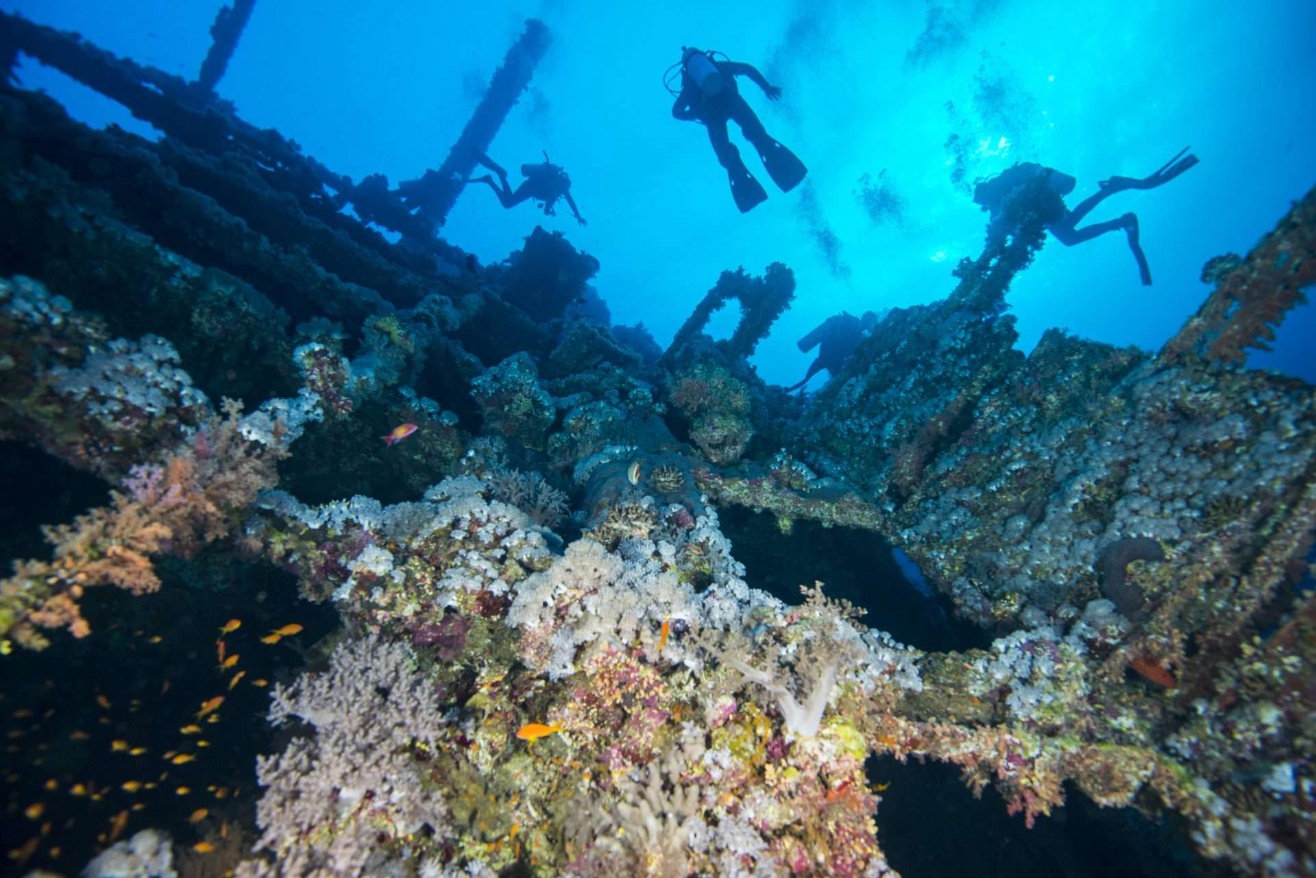 Scuba divers swimming through shipwreck