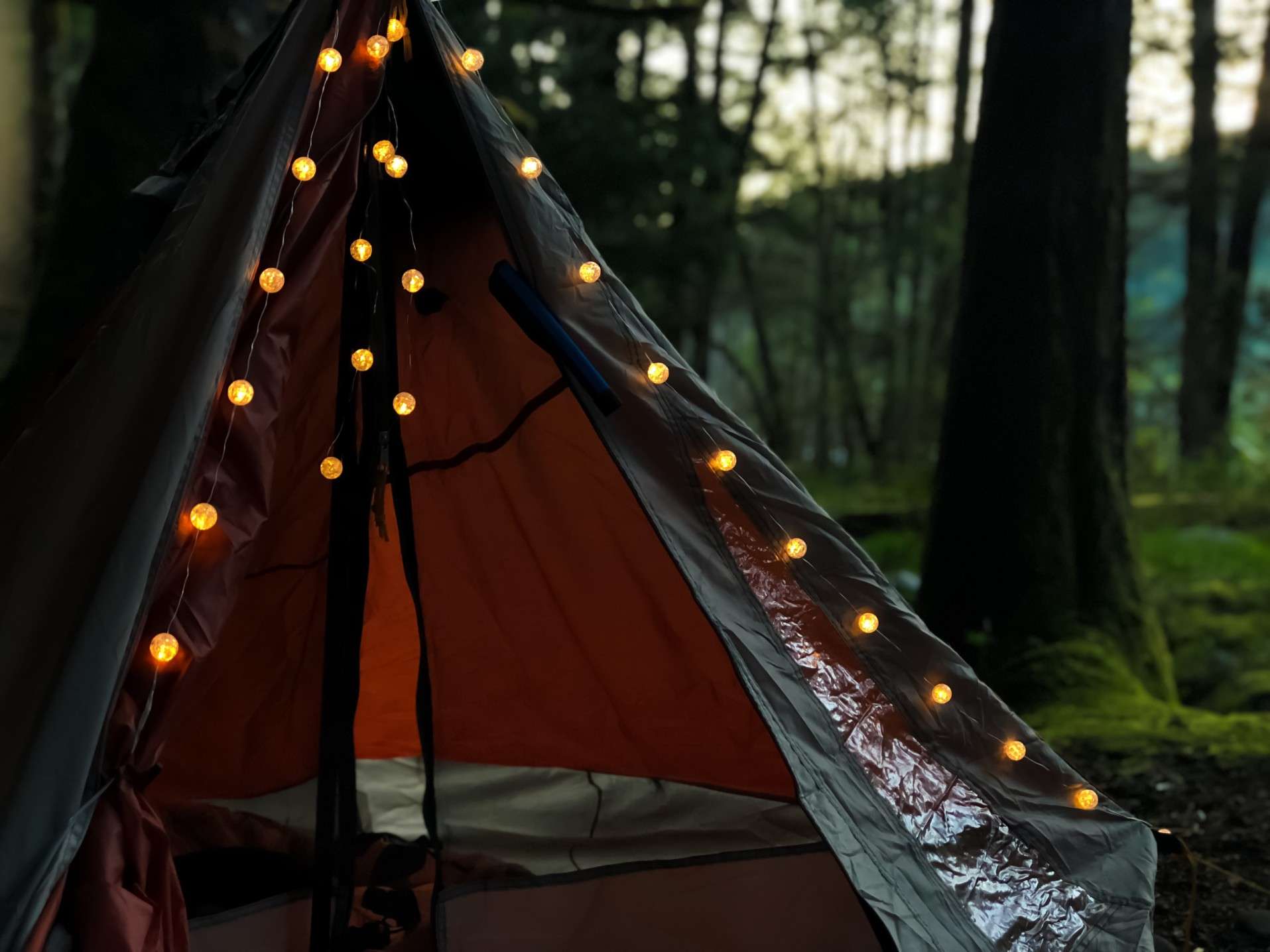 Tent with string lights around entrance