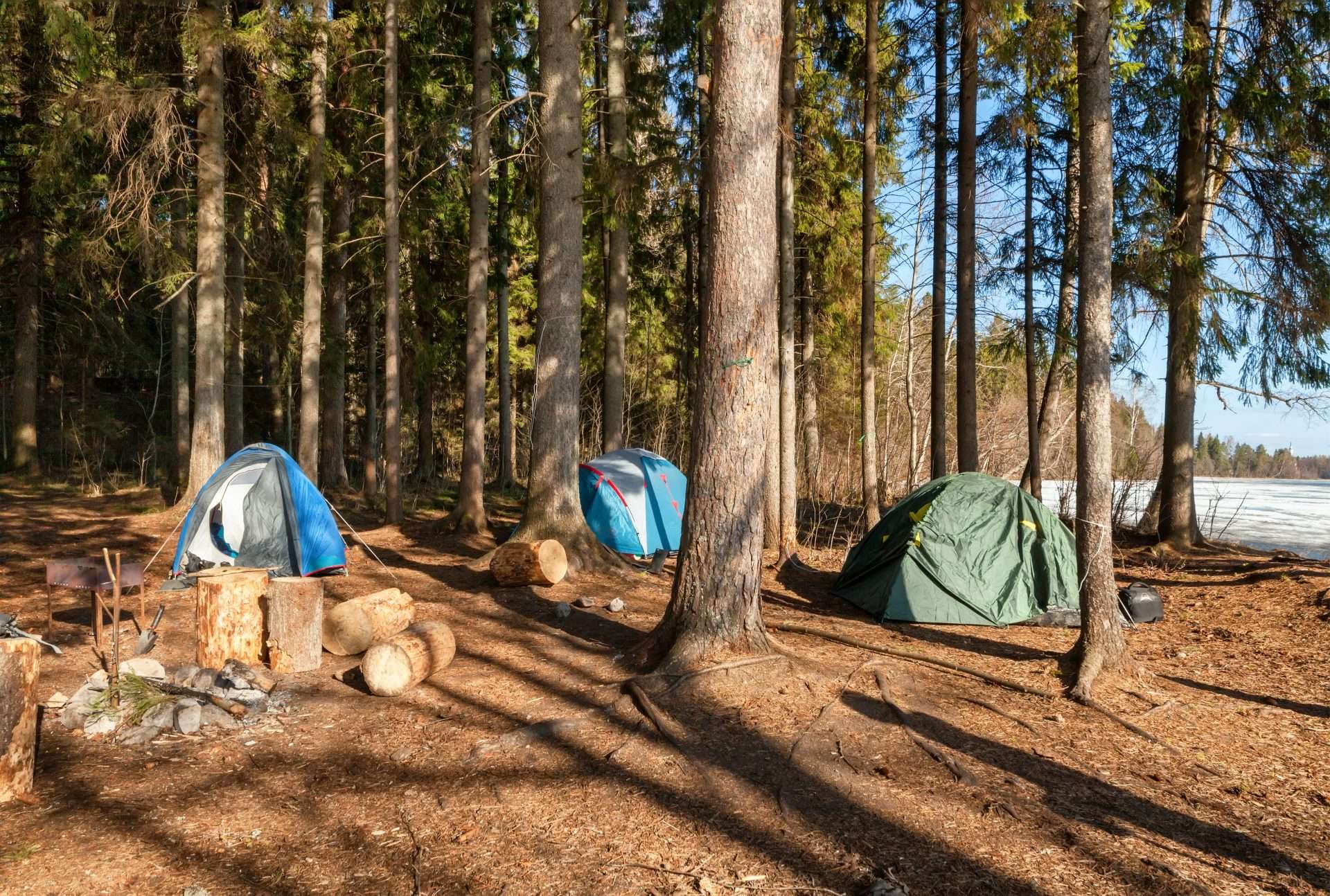 Tents set up for camping along Lake Superior