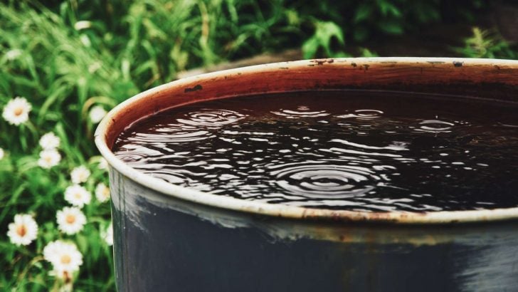 Is It Illegal to Collect Rainwater? You’ll Be Surprised