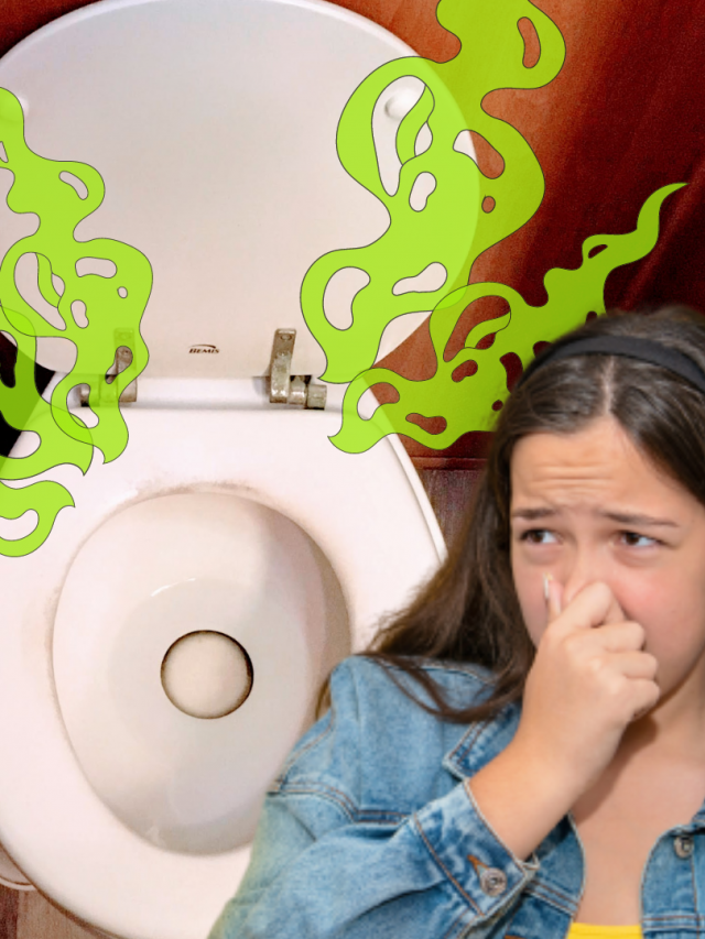 5 Reasons Why Your RV Toilet Stinks