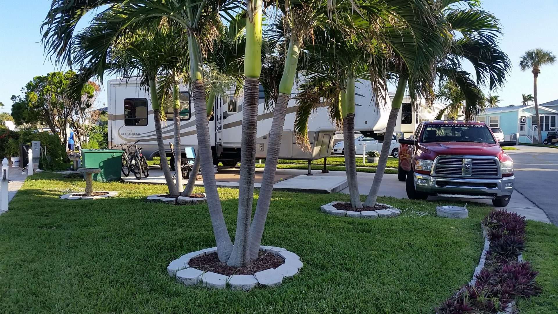 Fifth wheel RV parked next to palm tree in West Palm Beach