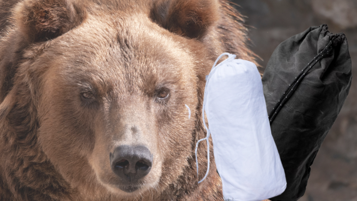 How to Use an Ursack Bear Bag the Right Way