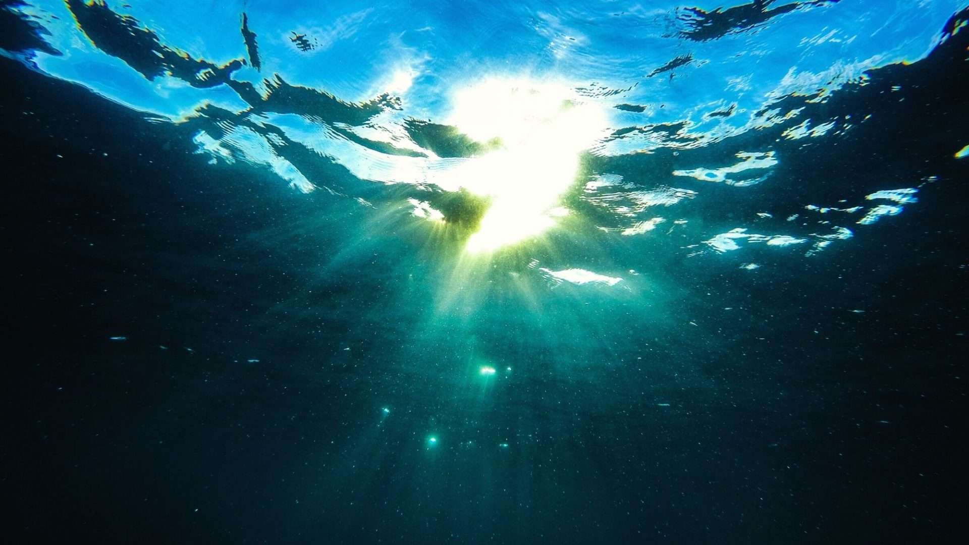 View from underwater looking up at the sun