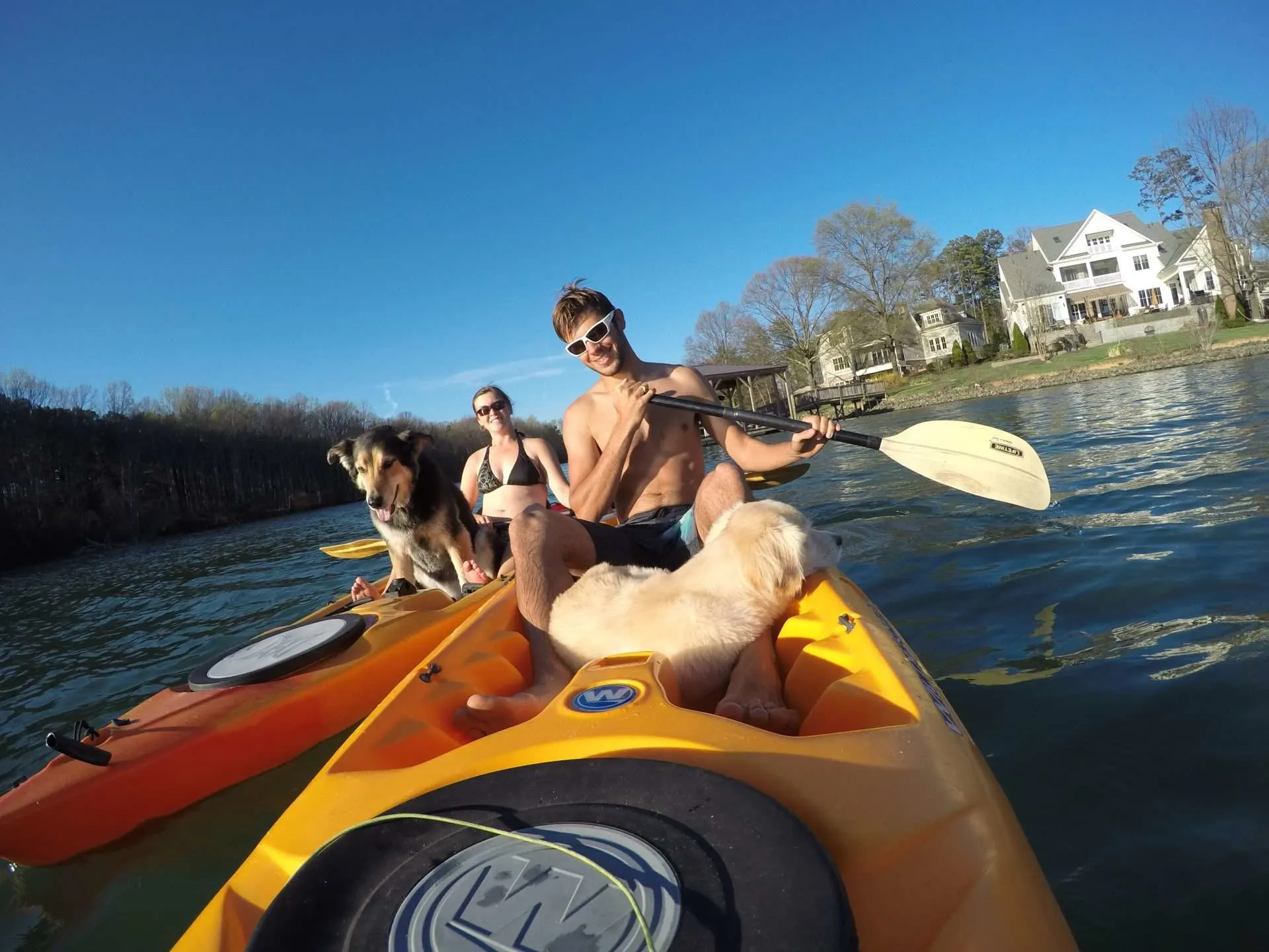 Tom and Cait from Mortons on the Move and dogs kayaking