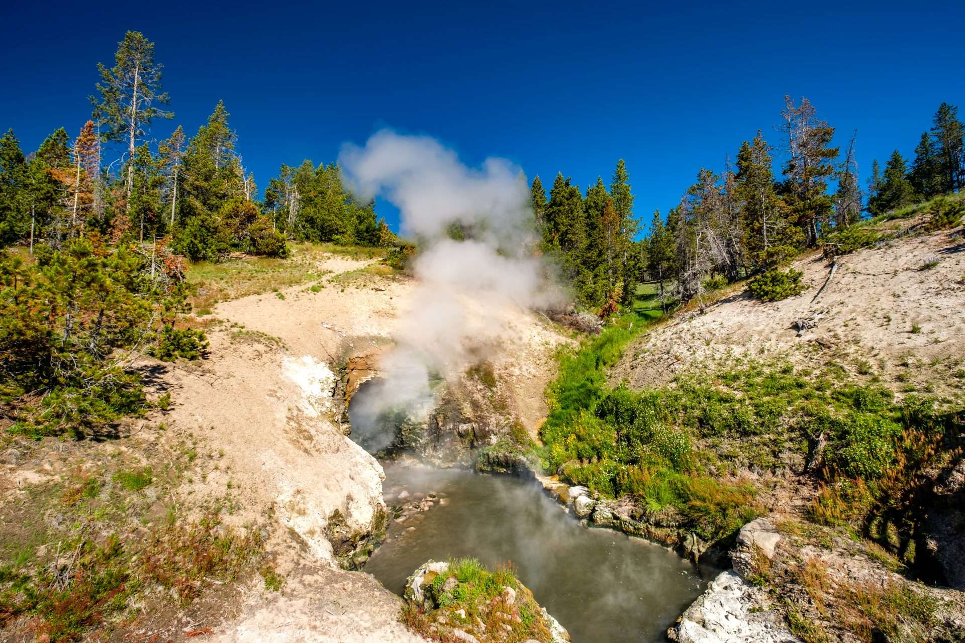 Hot boiling mud at Mud Volcano area in Yellowstone National Park, Wyoming, USA