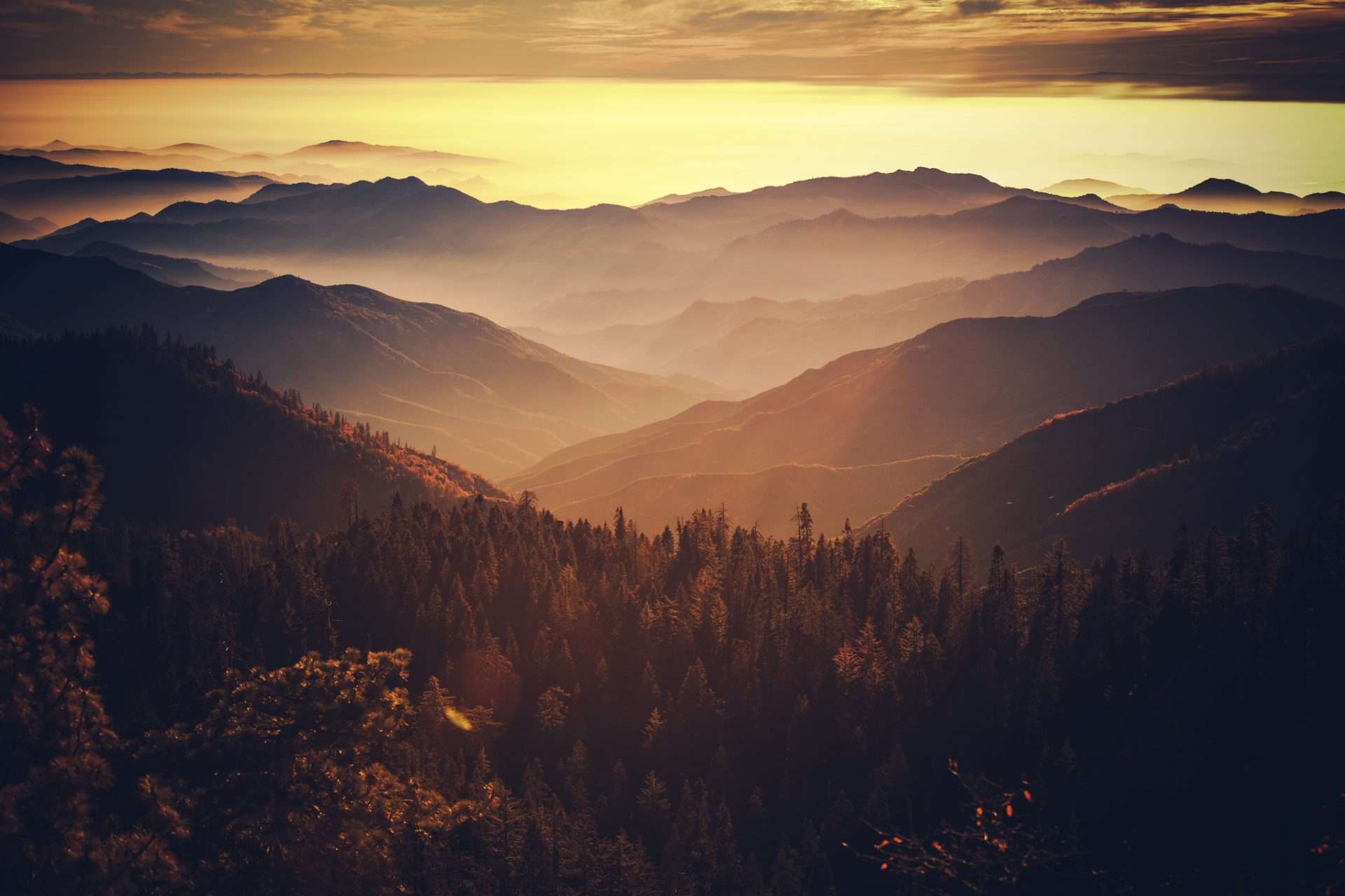 Sierra National Forest at sunrise