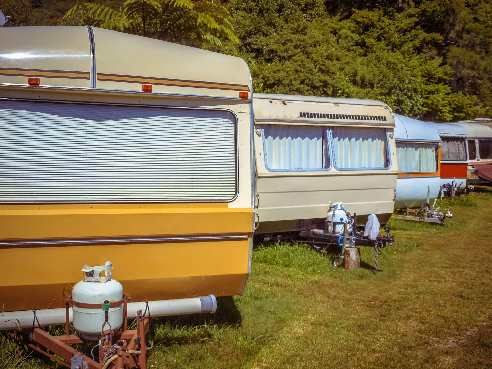 Vintage motorhomes lined up on grass