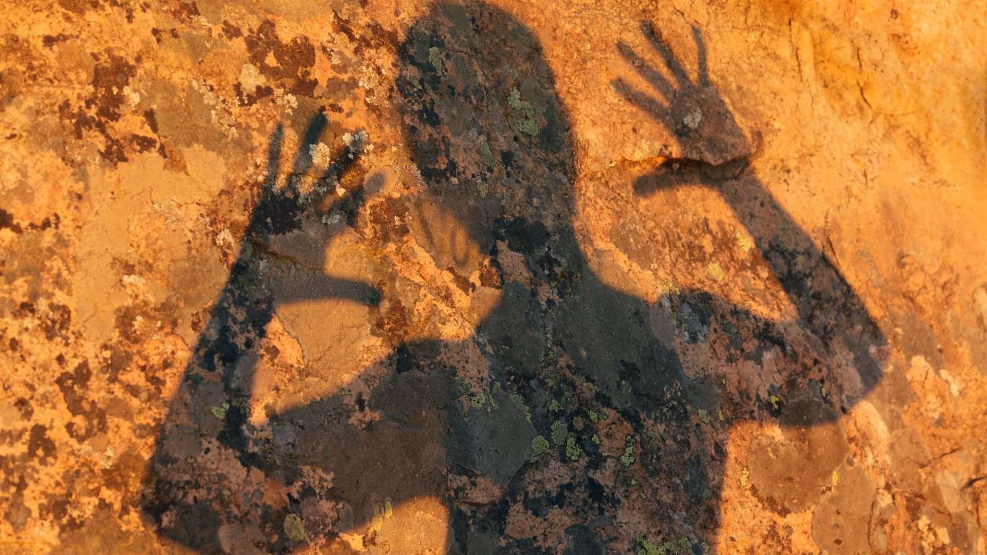 shadow of feral person