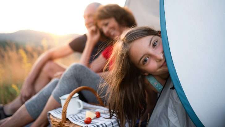 7 Best Pop-Up Camping Tents for Instant Setup