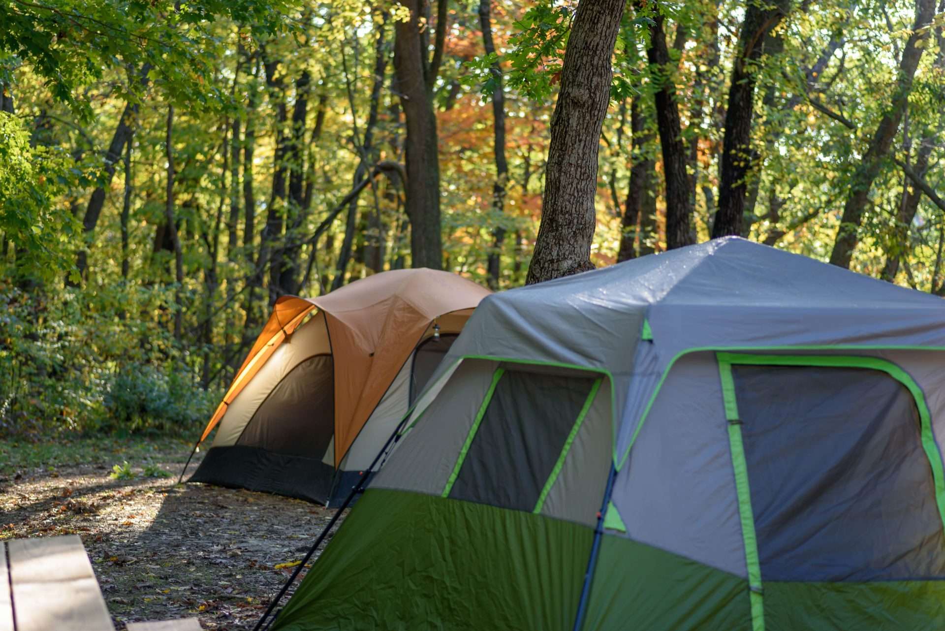 Two tents set up in Washington forest