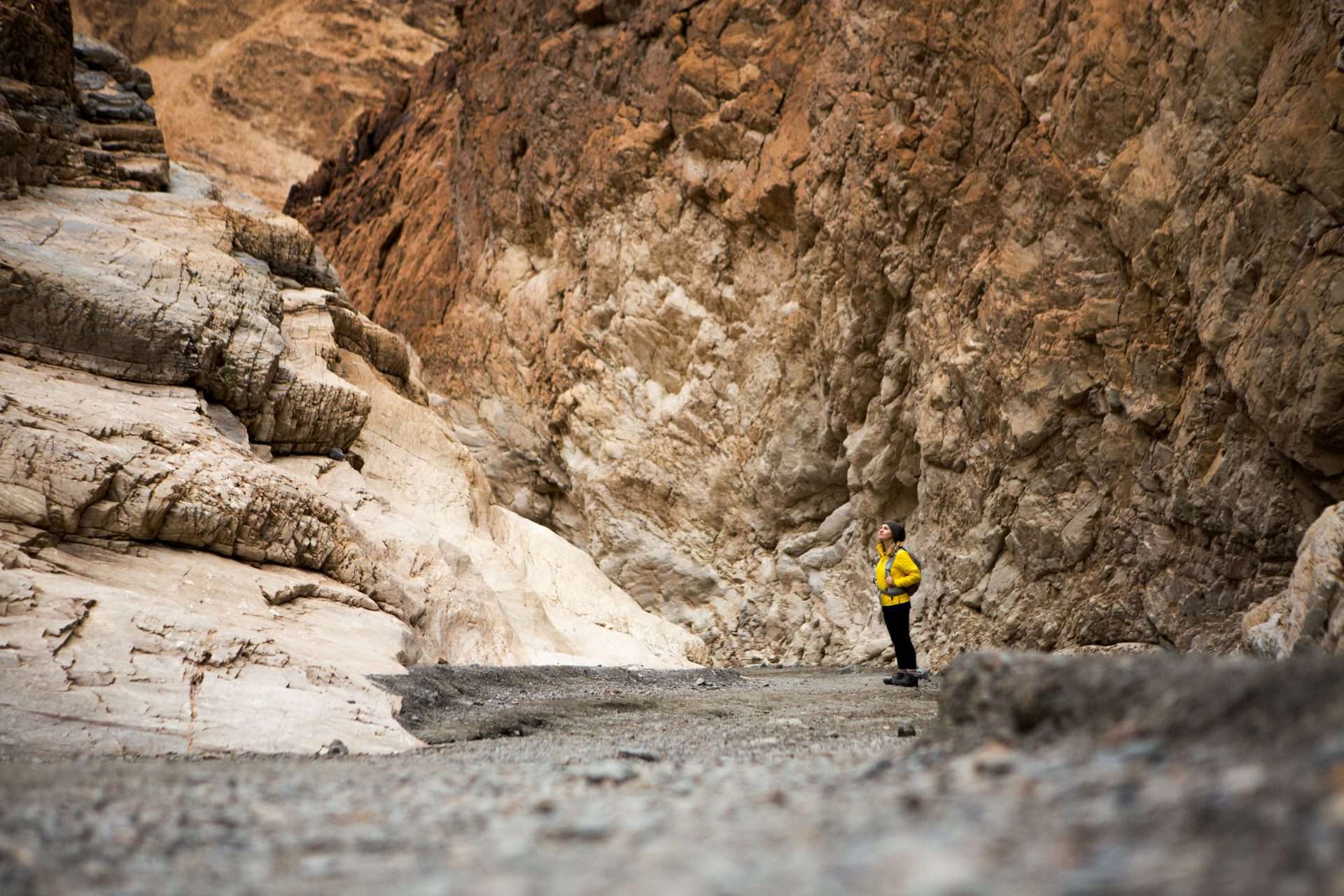 Trekker taking in sights, Death Valley National Park, California, US