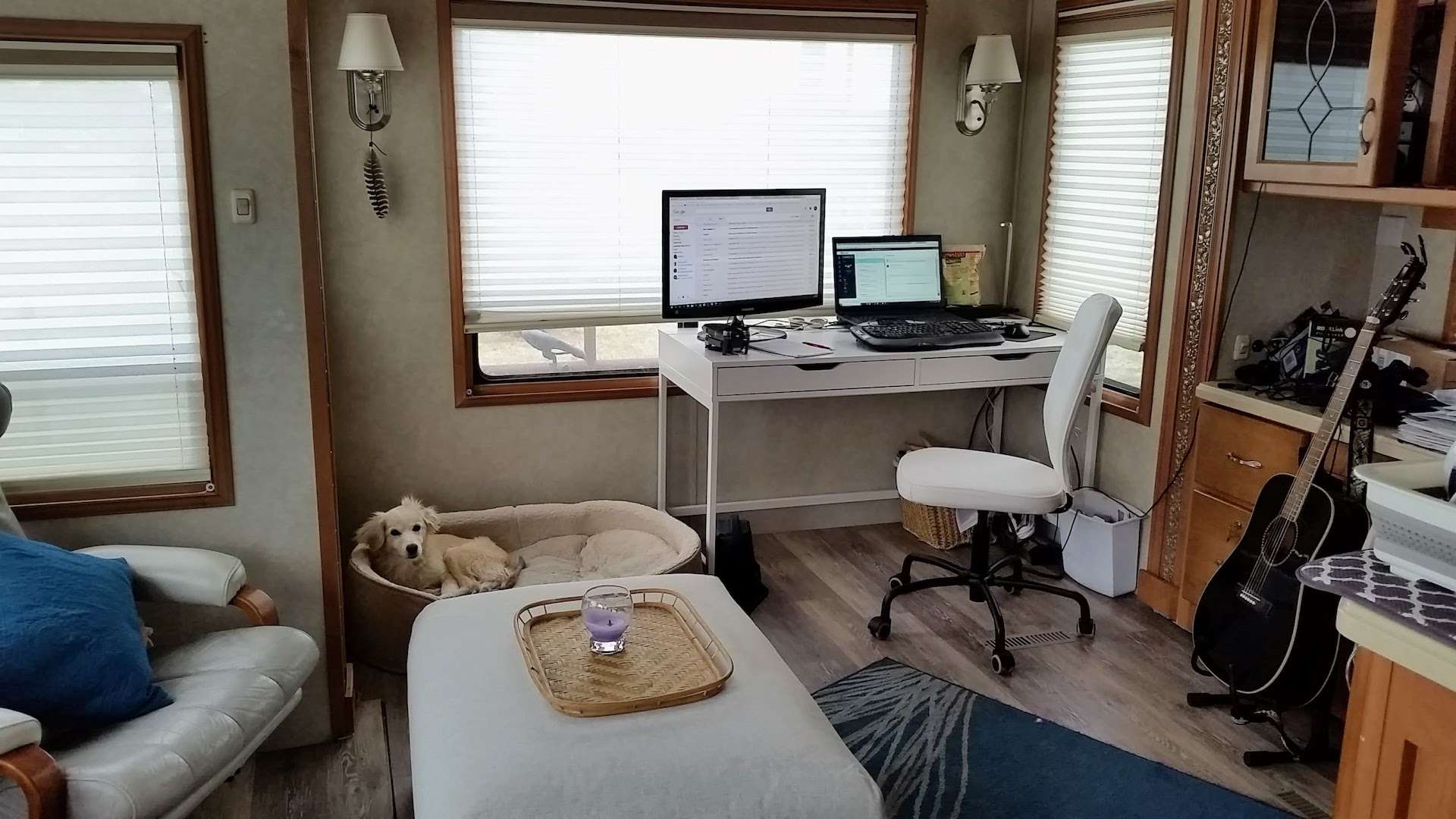 dog in bed in fifth wheel rv