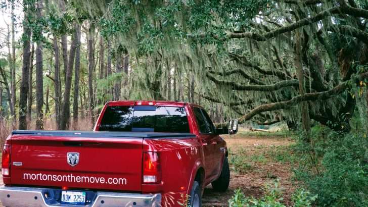 truck driving down south carolina road with spanish moss