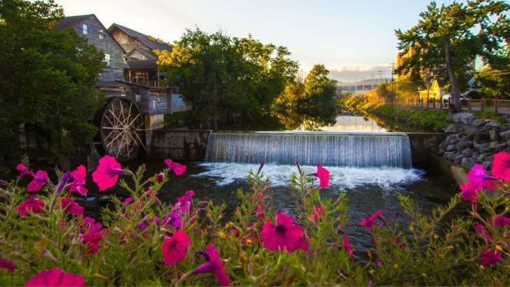 7 Best Pigeon Forge Campgrounds for Your Mountain Getaway