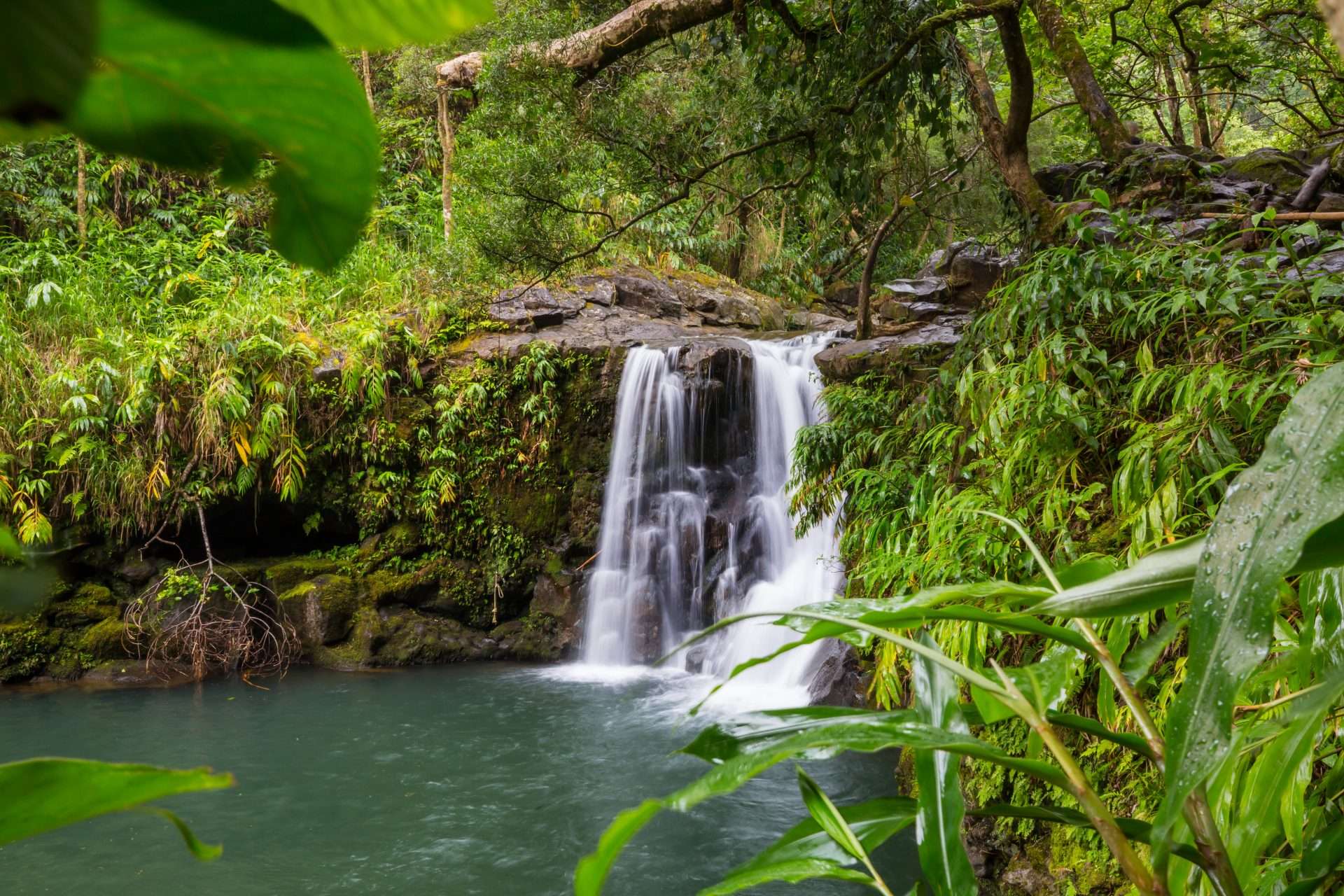 Waterfall in rainforest in Oahu, Hawaii