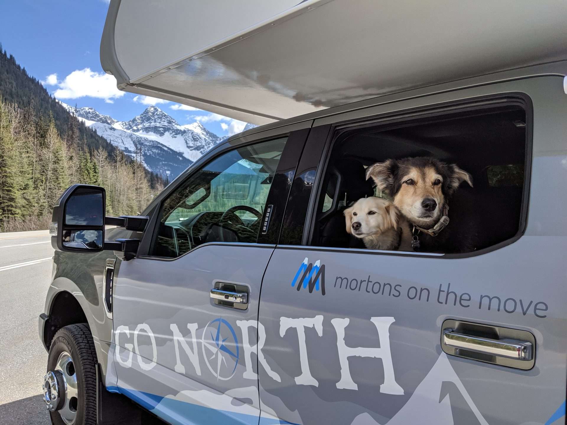 Mortons on the Move dogs isndie truck camper