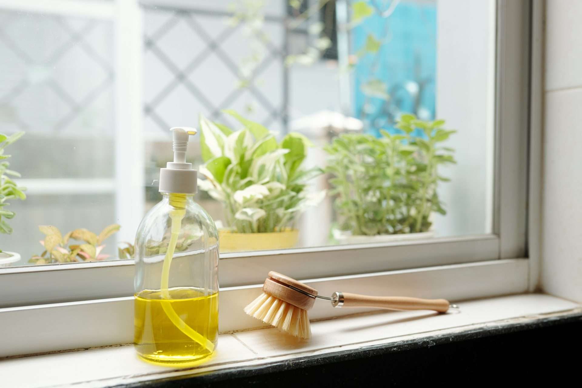 Dish soap in bottle on window ledge