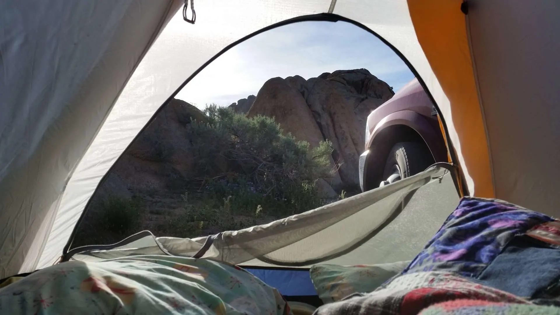 View from inside tent while tent camping