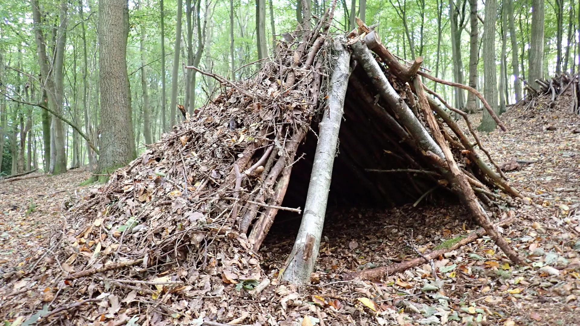 Survival shelter in forest 