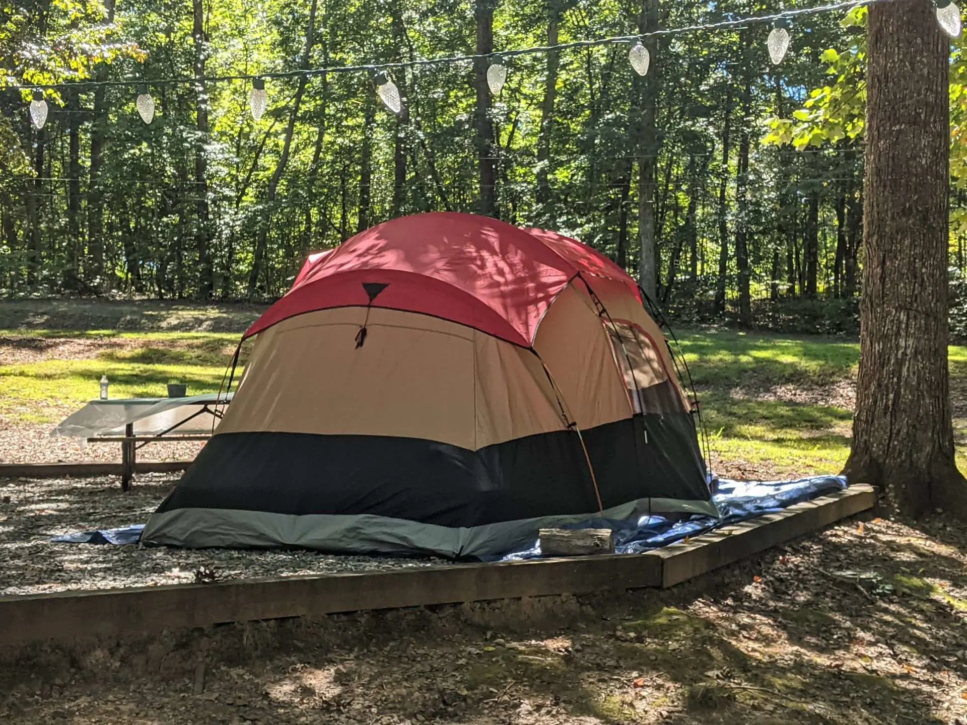 Tent pitched at campsite