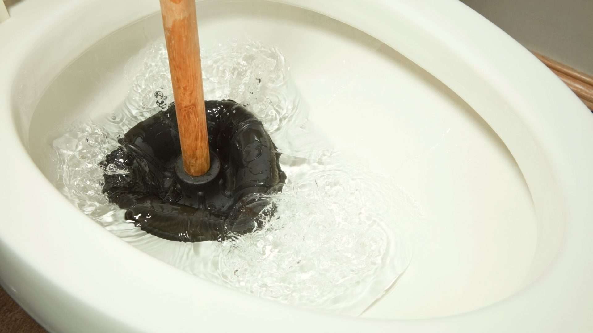 plunging an RV toilet