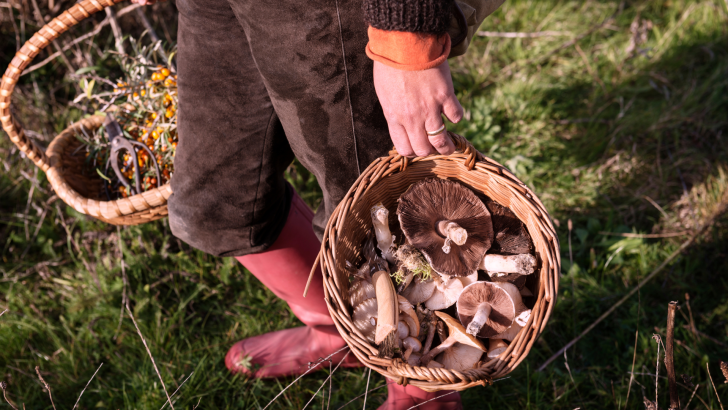 8 Best Foraging Bags and Baskets for Comfortable Collecting