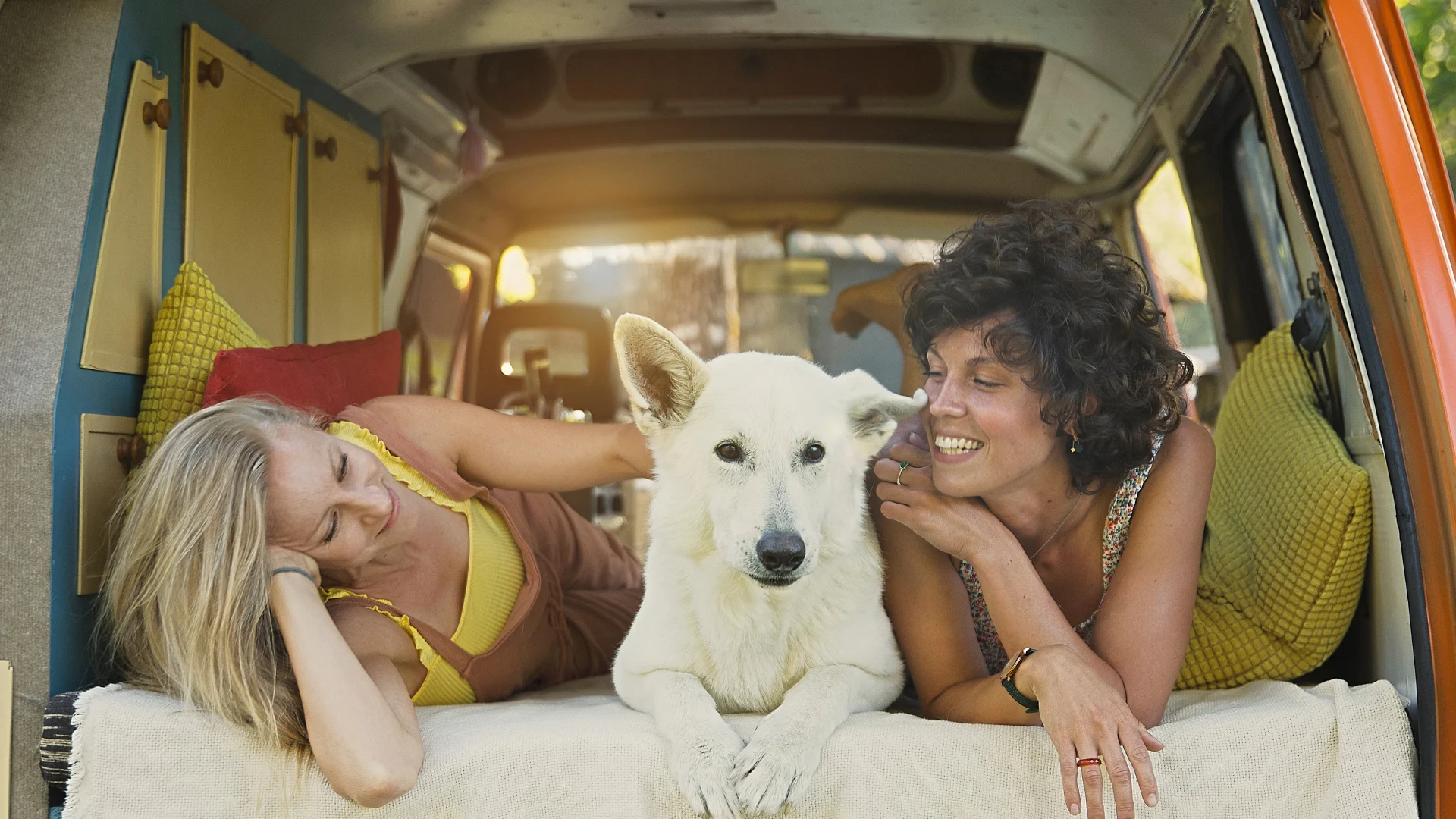 Dog relaxing in RV in Mexico