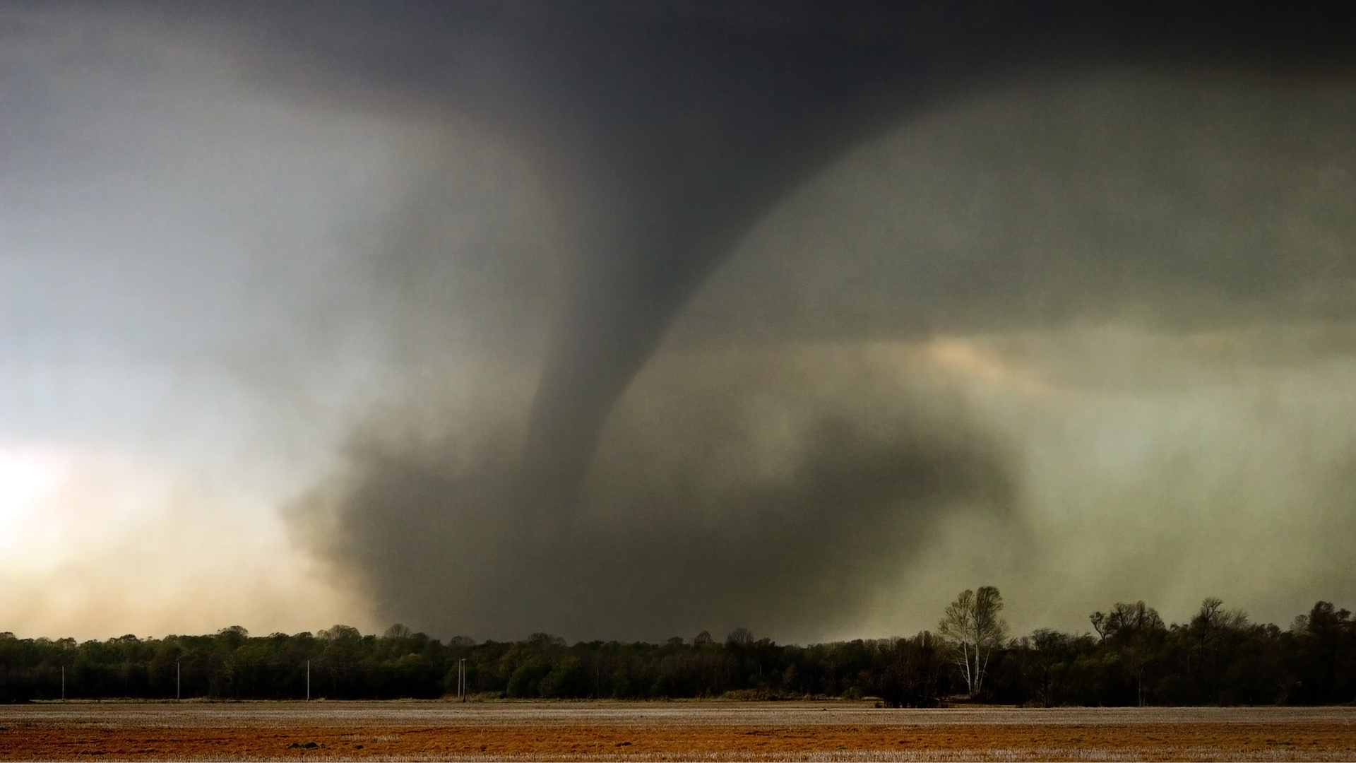 Tornado in corn field