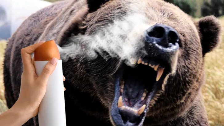 Bear being sprayed with bear spray