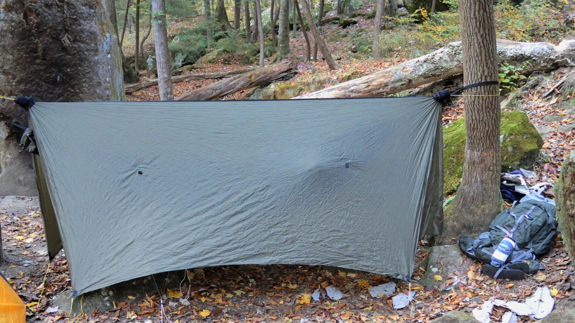 Tube tent set up in forest