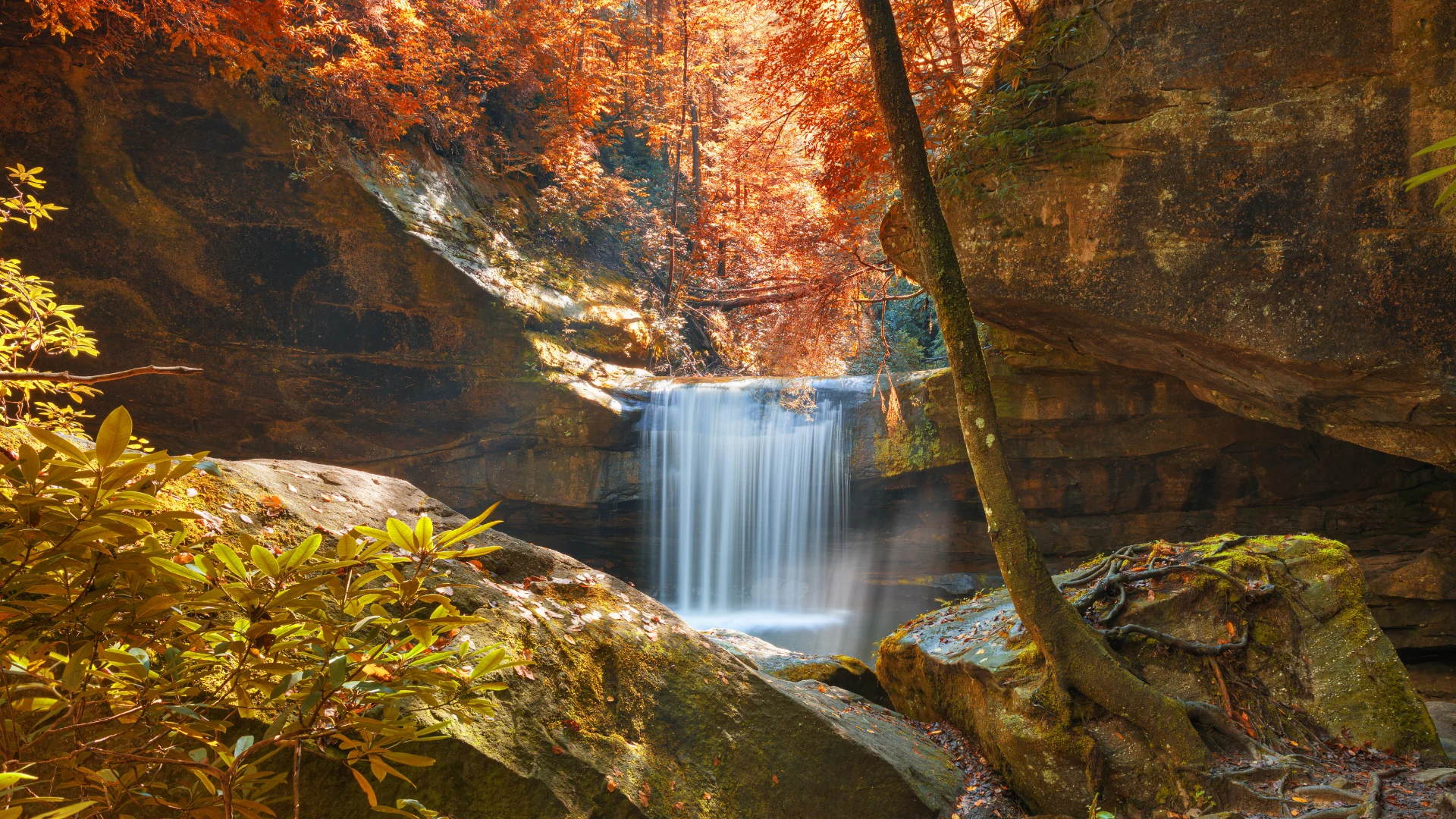 Daniel Boone National Forest waterfall