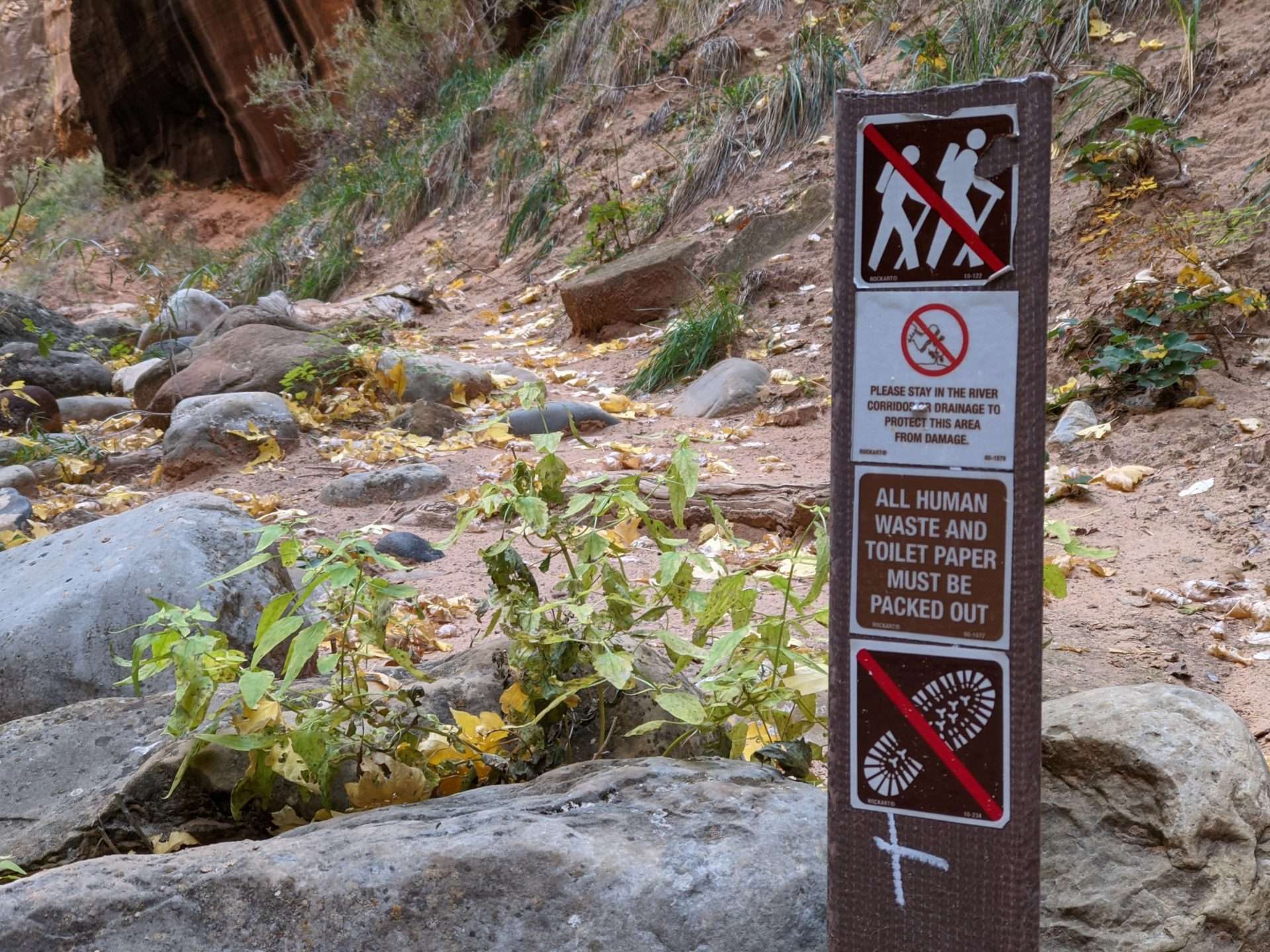 Narrows canyon zion no place to poop