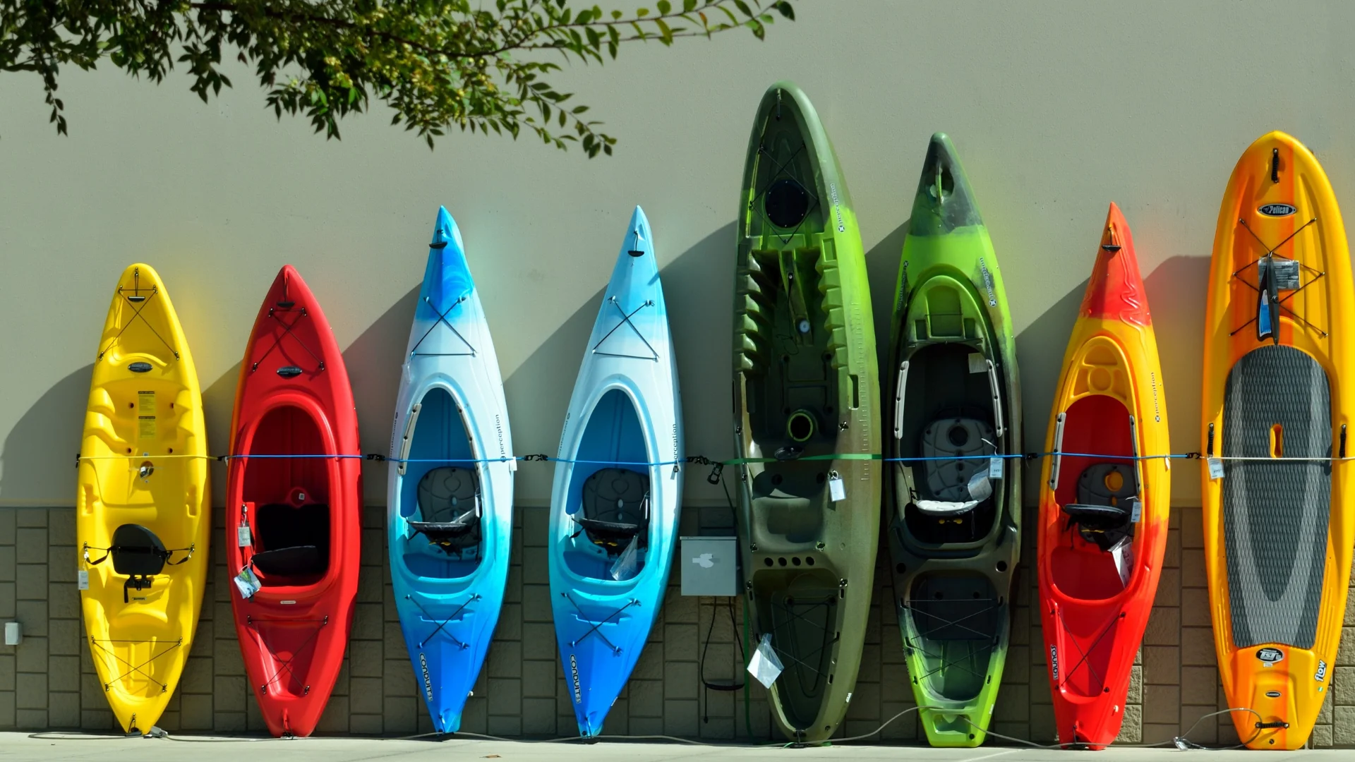 Different kayaks lined up