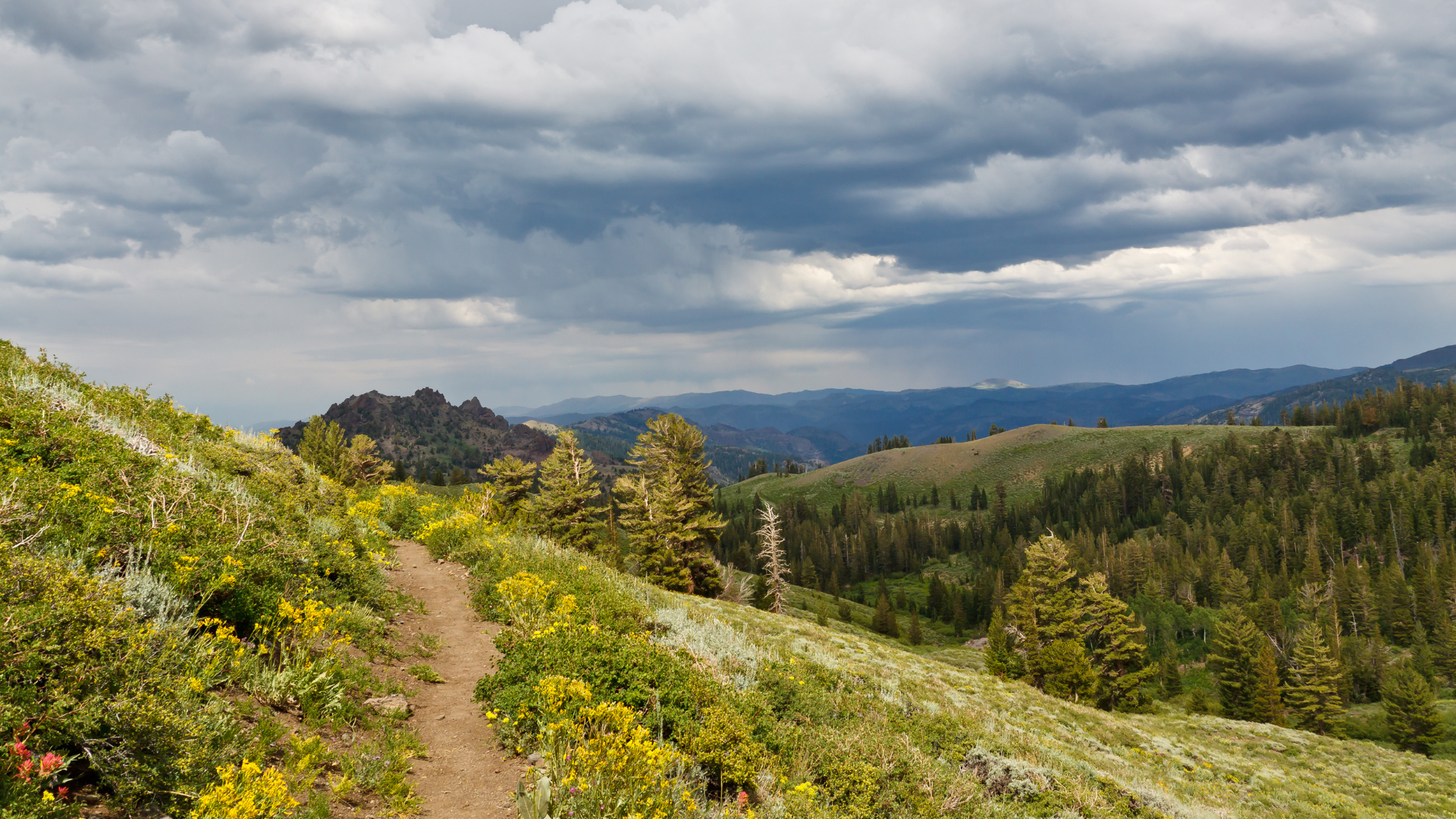 View along the Pacific Crest Trail