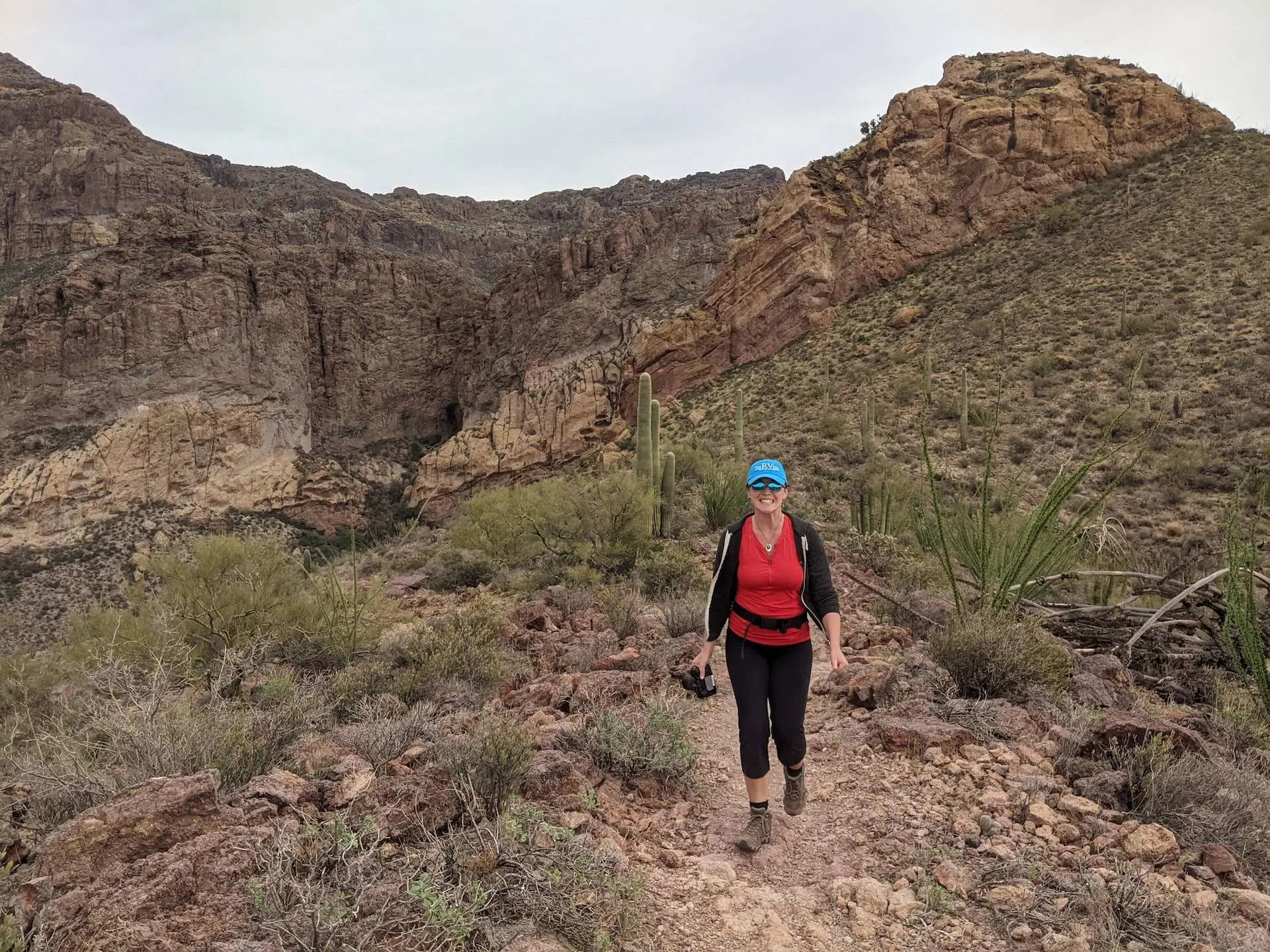 hiking in organ pipe cactus national monument