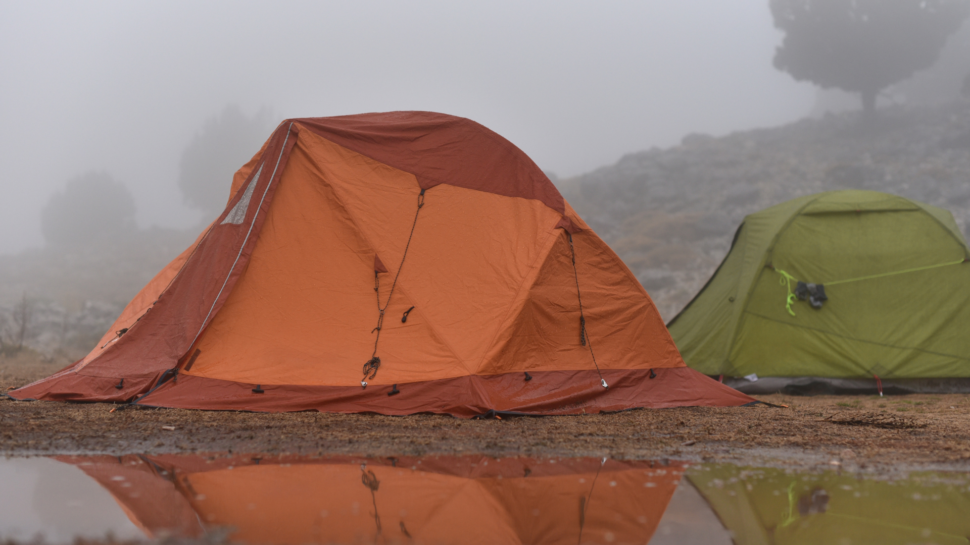 Tents at rainy campsite
